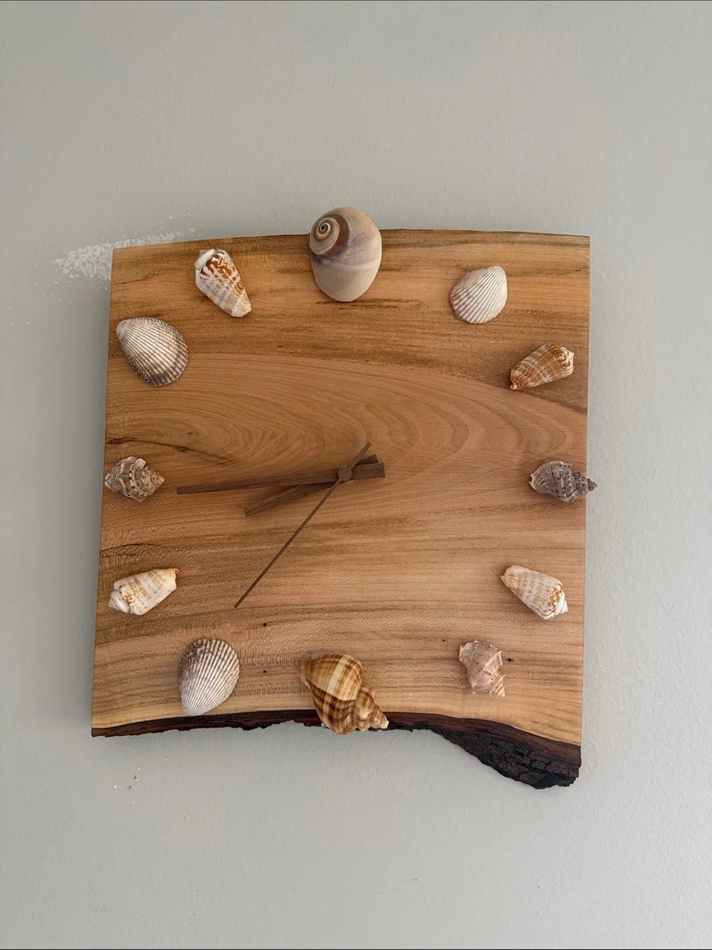 Natural Wood Wall Clock with Sea Shell Accents - Brown